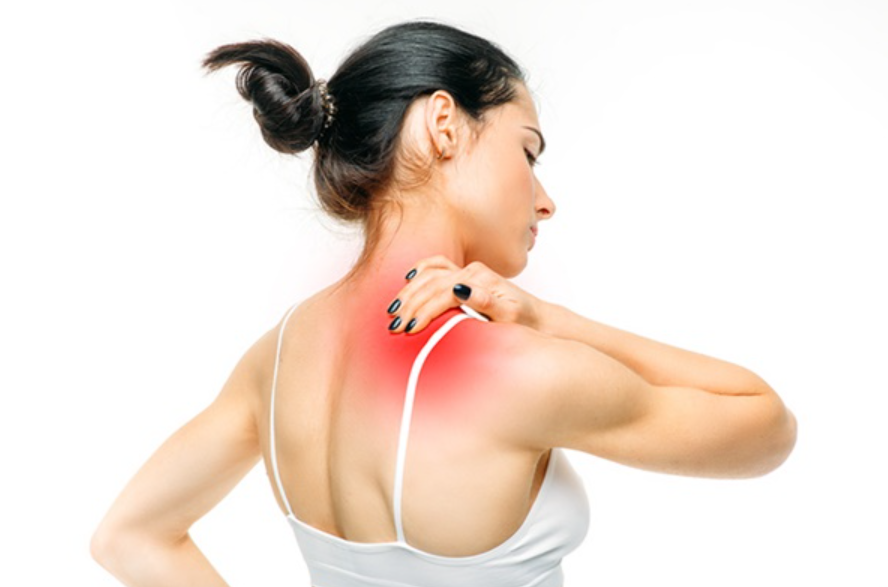 Gối Ngủ Hiện Đại Elan: Chiếc "Chìa Khóa" Thầm Lặng Mở Cánh Cửa Giấc Ngủ Sâu