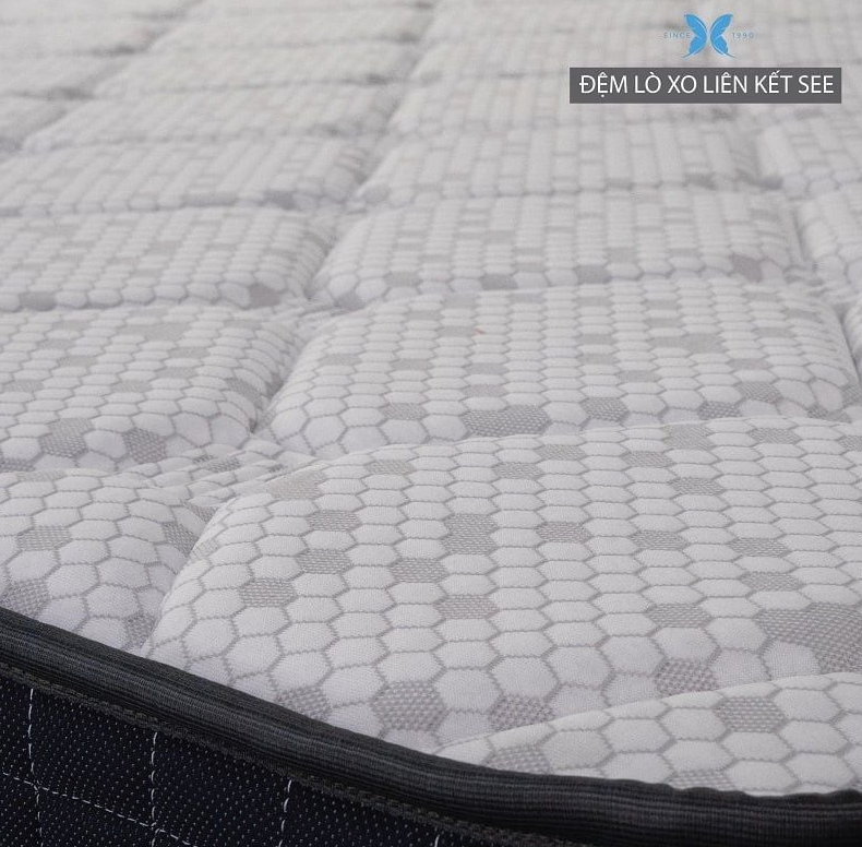 Đệm Lò Xo SEE – Elan 23cm: Thoáng Khí, Kháng Khuẩn Và Mang Lại Giấc Ngủ Khô Thoáng Dễ Chịu