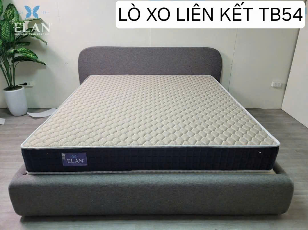 Đệm Lò Xo SEE – Elan: Chi Phí Hợp Lý Nhưng Vẫn Đảm Bảo Độ Bền Và Giấc Ngủ Êm Ái