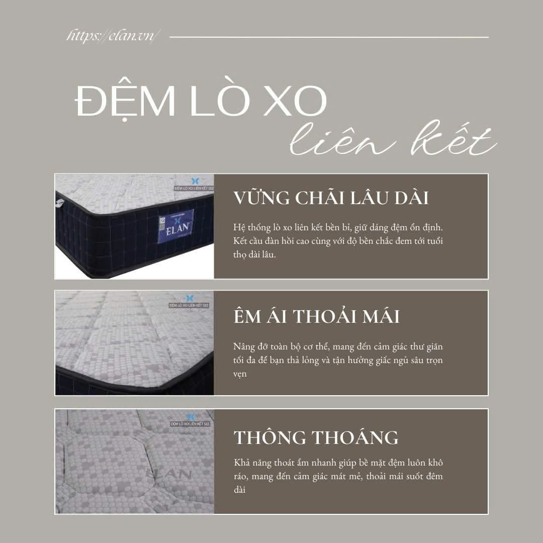 Đệm Lò Xo SEE – Elan: Chi Phí Hợp Lý Nhưng Vẫn Đảm Bảo Độ Bền Và Giấc Ngủ Êm Ái