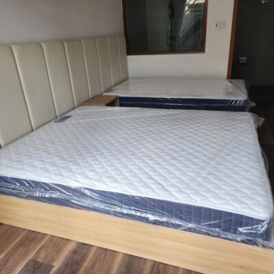 Đệm Lò Xo SEE – Elan: Chi Phí Hợp Lý Nhưng Vẫn Đảm Bảo Độ Bền Và Giấc Ngủ Êm Ái