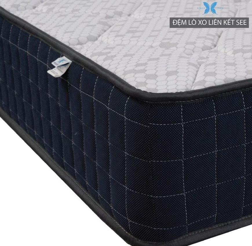 Muốn Mua Nệm Lò Xo Chất Lượng Nhưng Giá Hợp Lý? Đệm Lò Xo Liên Kết SEE – Elan Là Câu Trả Lời