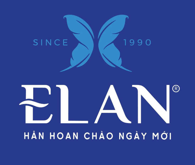 Mua Nệm Dự Án Đà Nẵng Ở Đâu Để Tối Ưu Chi Phí Và Chất Lượng?