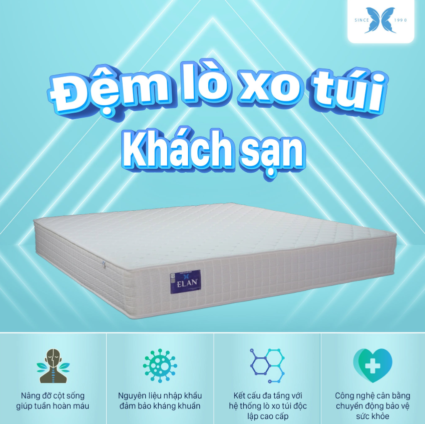 Mua Nệm Dự Án Số Lượng Lớn – Nên Chọn Dòng Nào Phù Hợp?