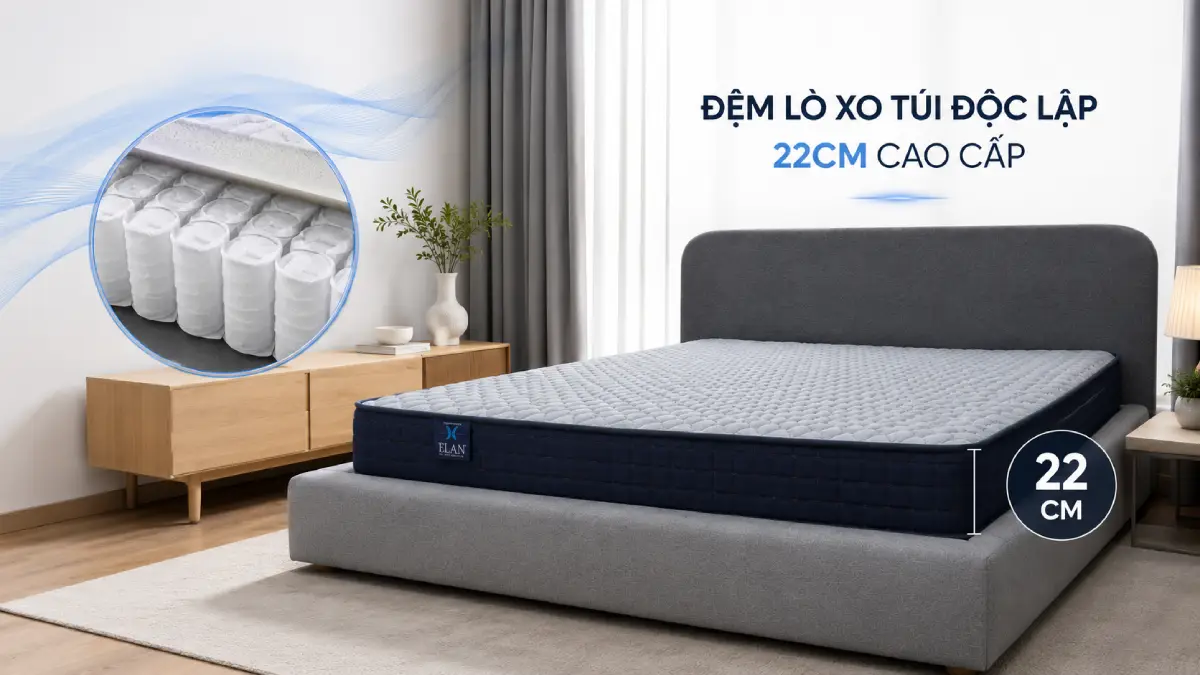 Đệm Lò Xo Túi Độc Lập 22cm Cao Cấp Cho Giấc Ngủ Êm Ái