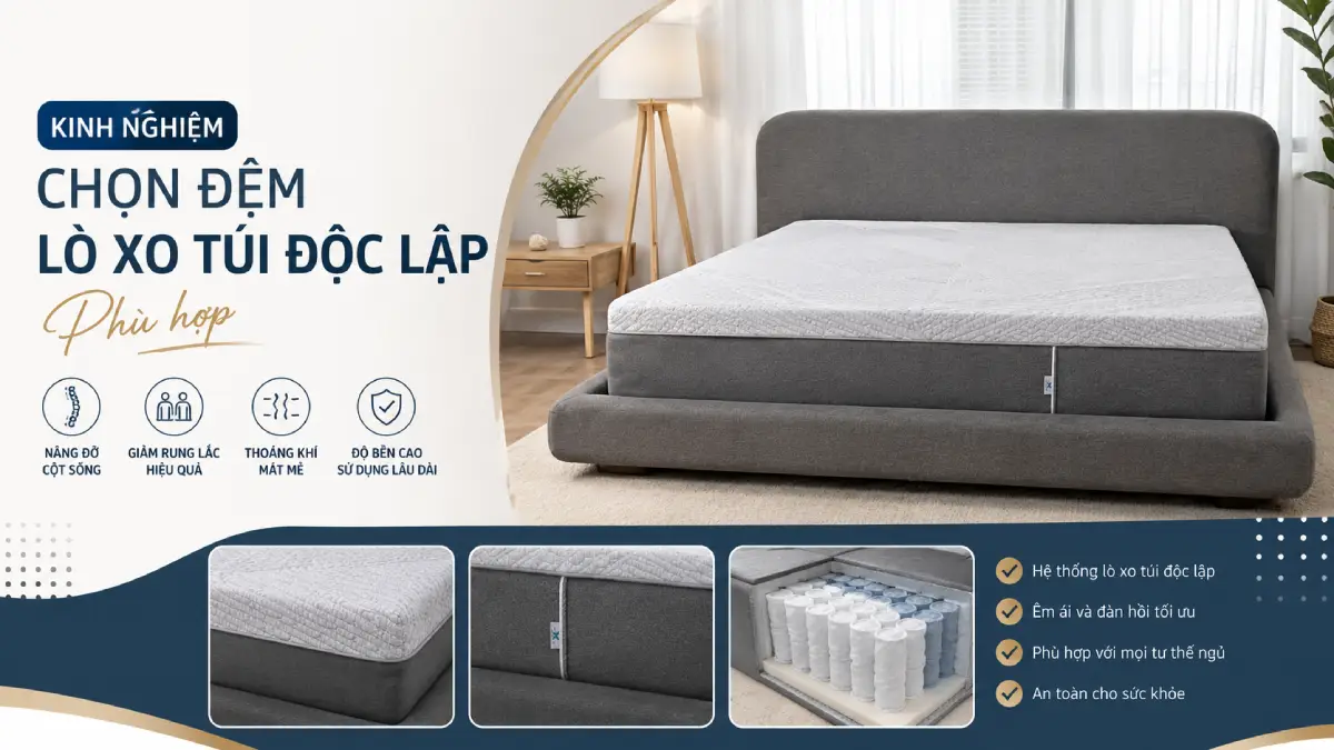 Kinh Nghiệm Chọn Đệm Lò Xo Túi Độc Lập Phù Hợp