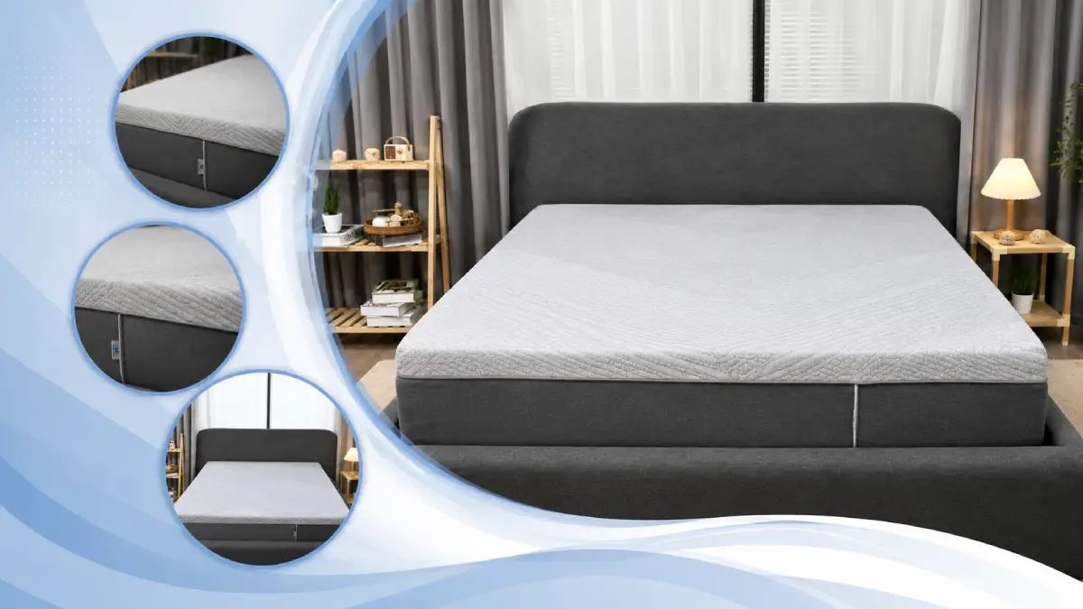 Kinh Nghiệm Chọn Đệm Lò Xo Túi Độc Lập Phù Hợp