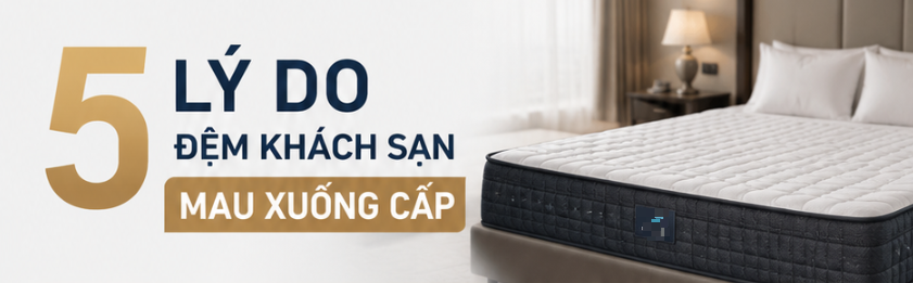Đệm Khách Sạn Nhanh Xuống Cấp Do Đâu? 5 Yếu Tố Cần Quan Tâm Khi Chọn Đệm