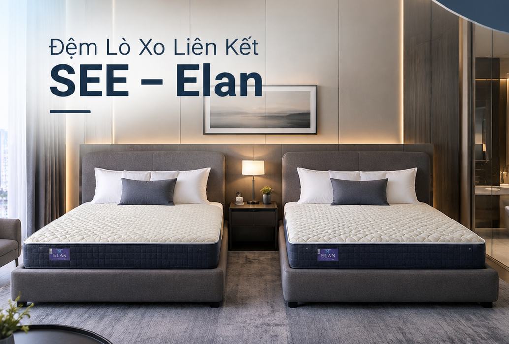Giải Pháp Thay Thế Đệm Bông Ép: Đệm Lò Xo Liên Kết SEE Cứng Cáp, Không Lo Trũng Võng